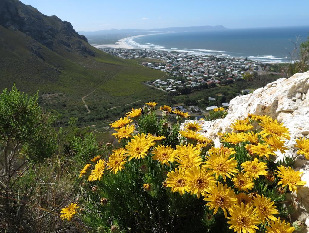 Hermanus Beach Villa Exteriör bild
