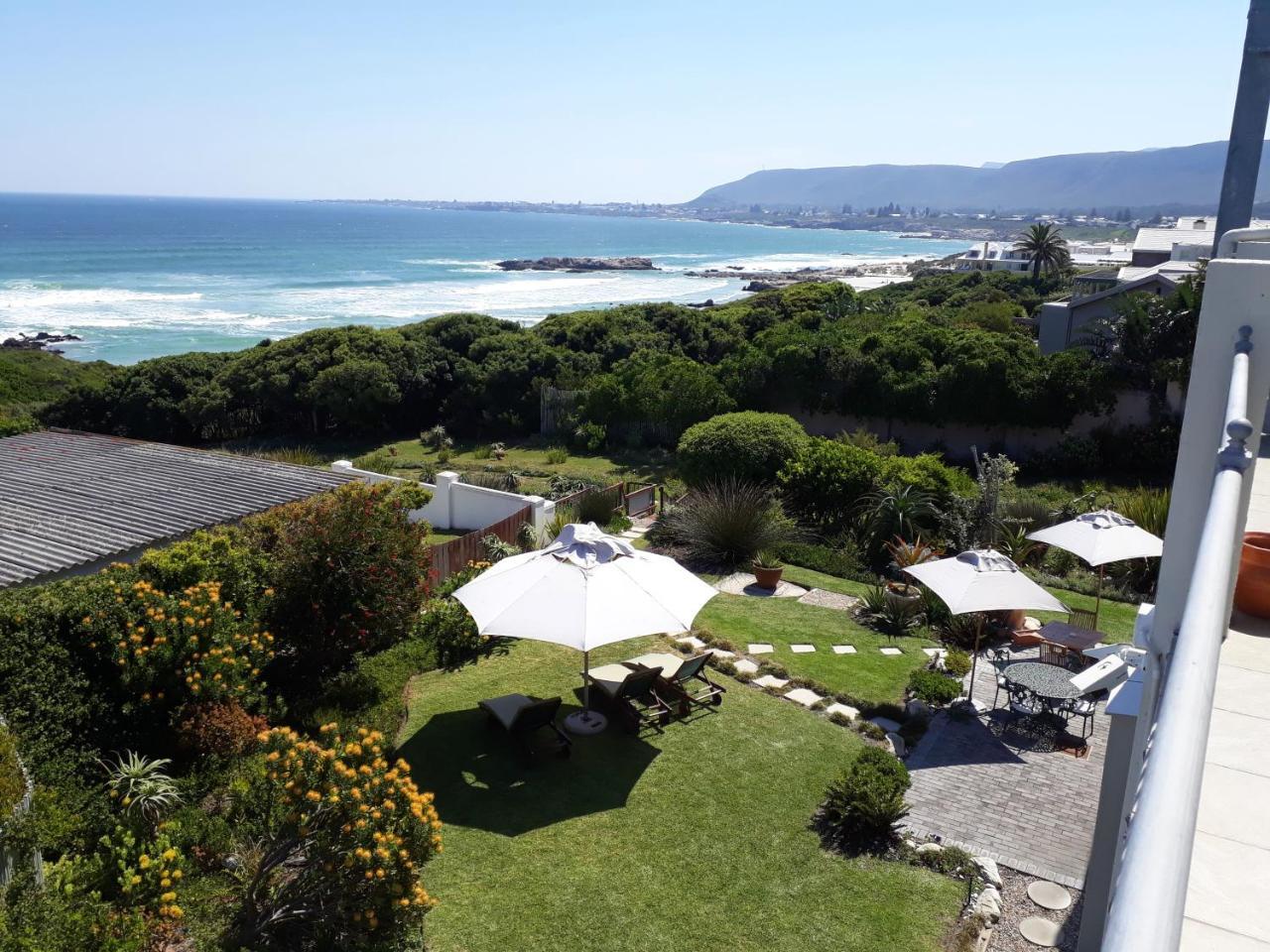 Hermanus Beach Villa Exteriör bild