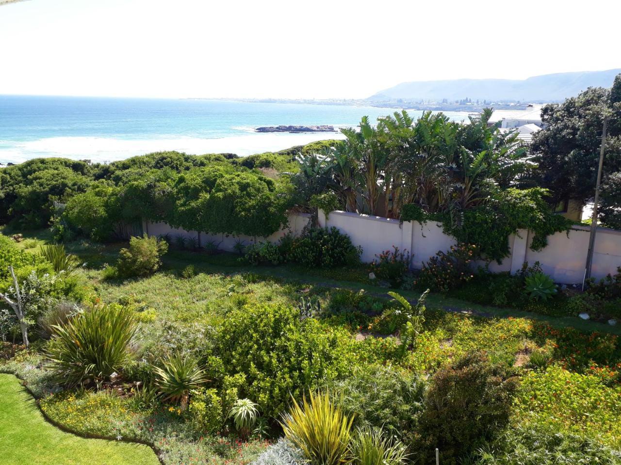 Hermanus Beach Villa Exteriör bild